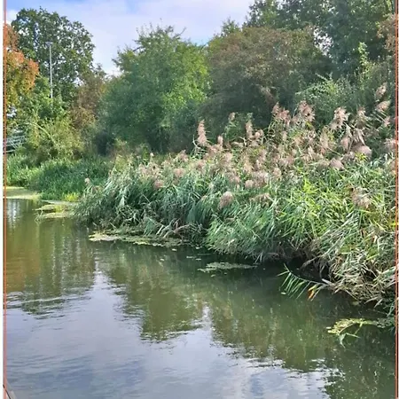 Apartmán Azuria-houseboat - Na Wodzie Vratislav