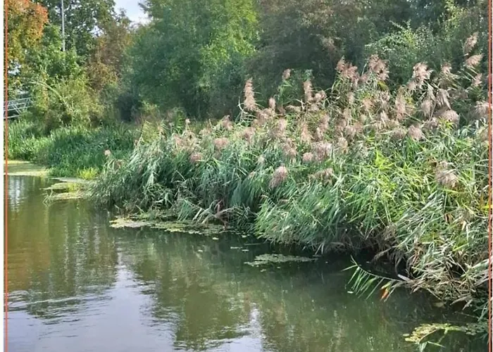 Apartment Azuria-houseboat - Na Wodzie Wroclaw